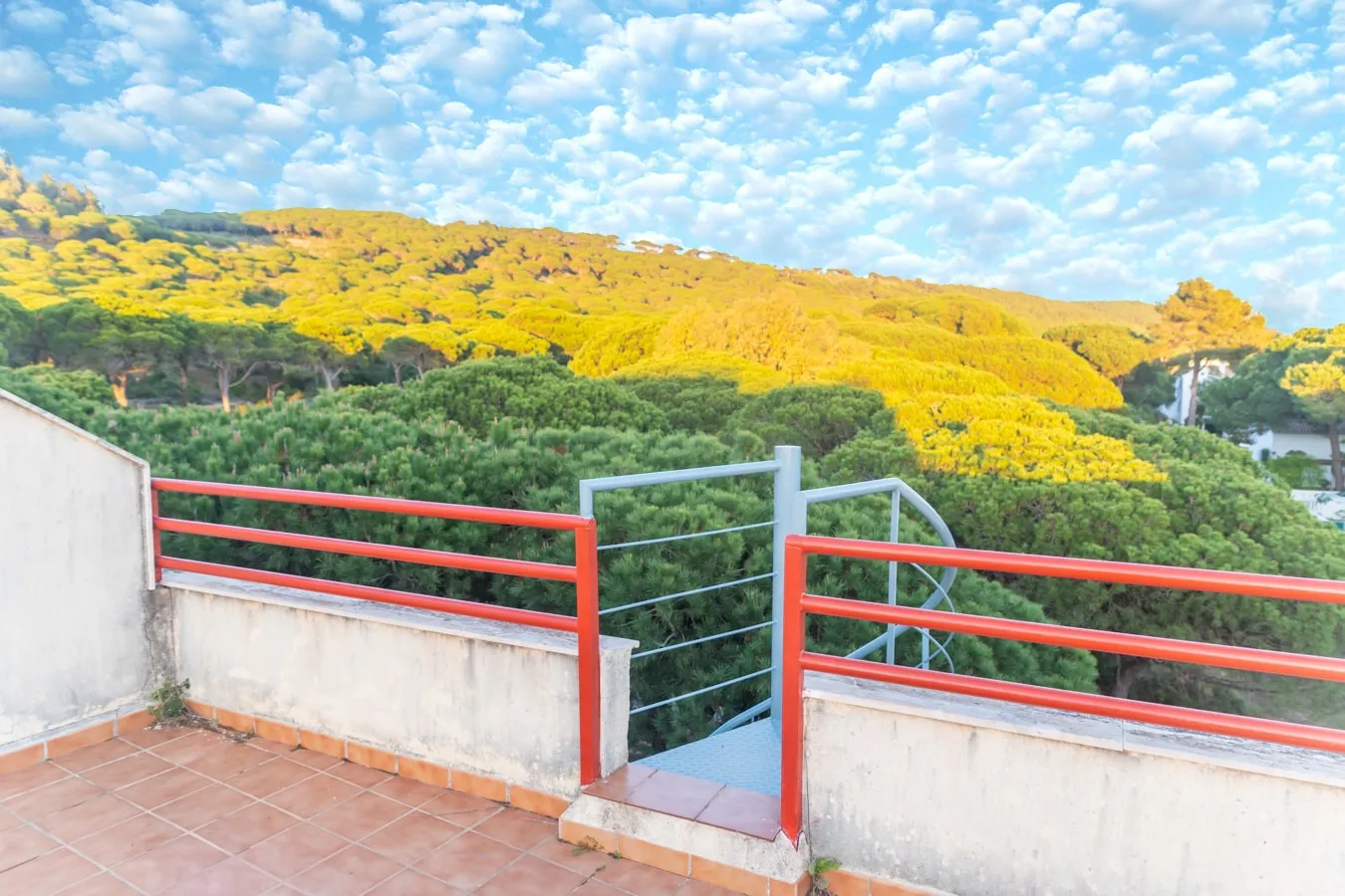 Sereno en Caños: Terraza, piscina y playa — foto 18